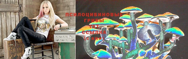 прущая мука Алексин