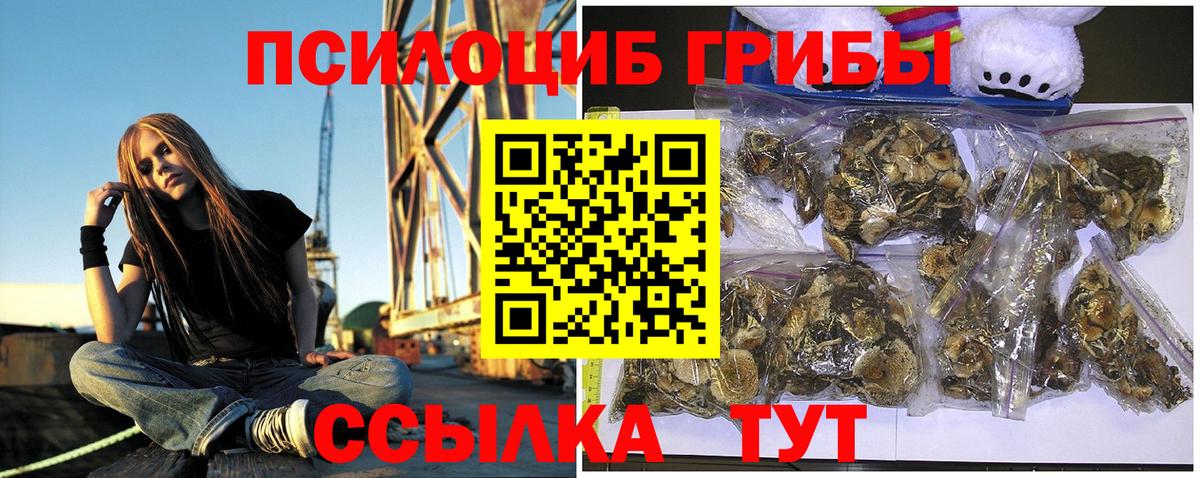 Псилоцибиновые грибы GOLDEN TEACHER Можга